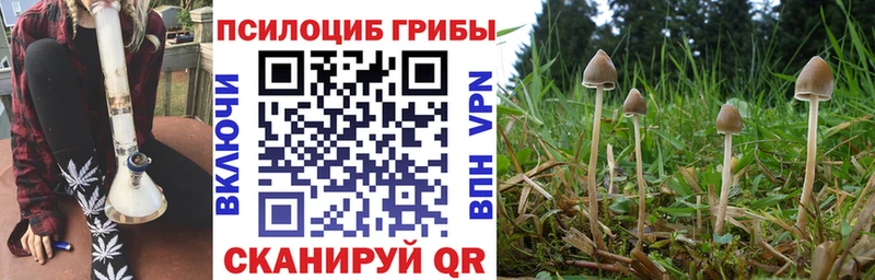 Галлюциногенные грибы мицелий  Воткинск 